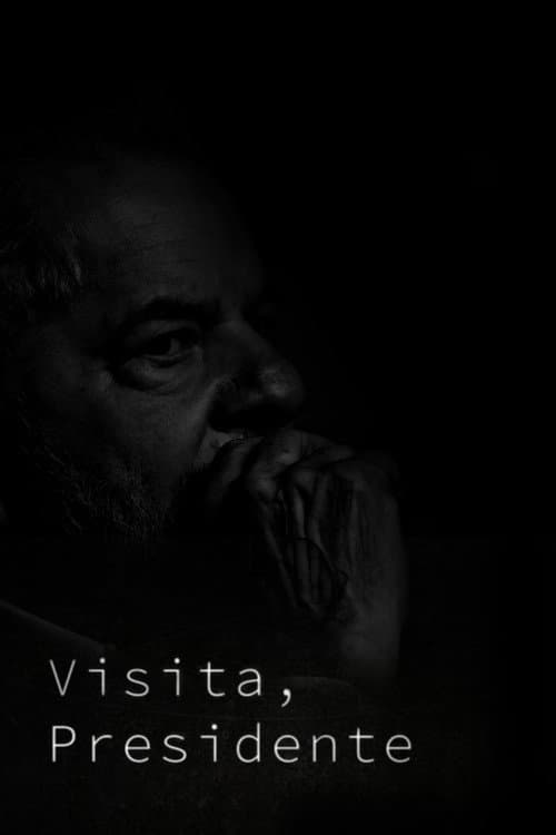 Visita, presidente