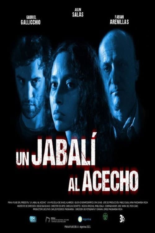 Un JabalÃ­ al Acecho