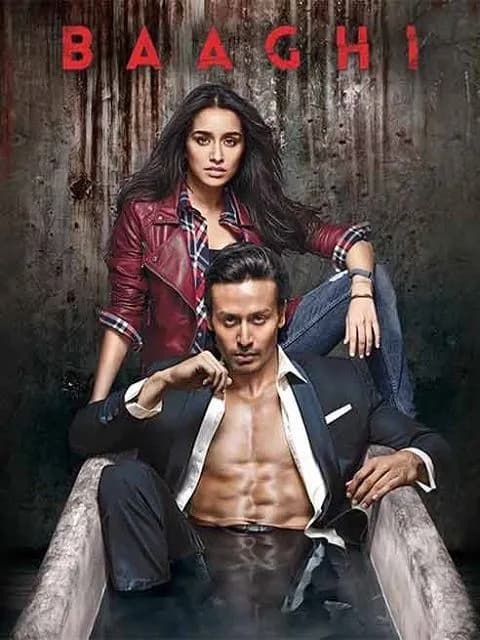 Baaghi