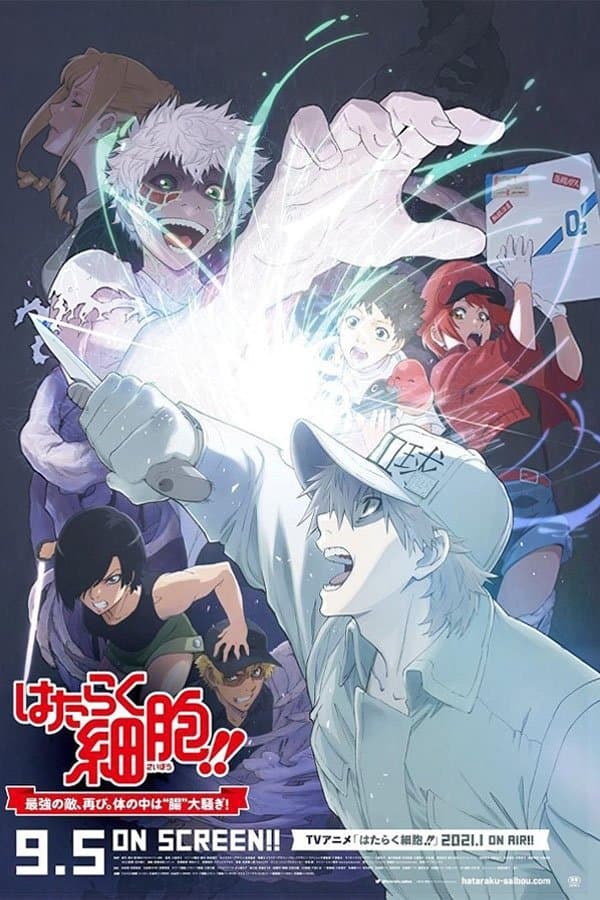 Hataraku Saibo!! Saikyo no Teki, Futatabi. Karada no Naka wa Cho Osawagi!