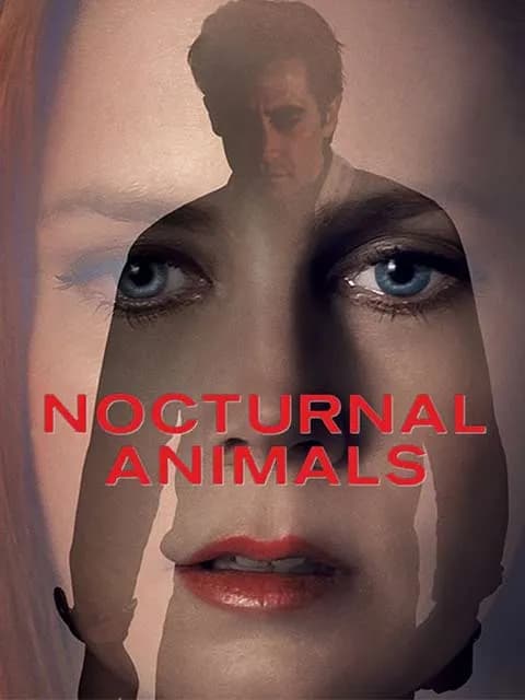 Nocturnal Animals
