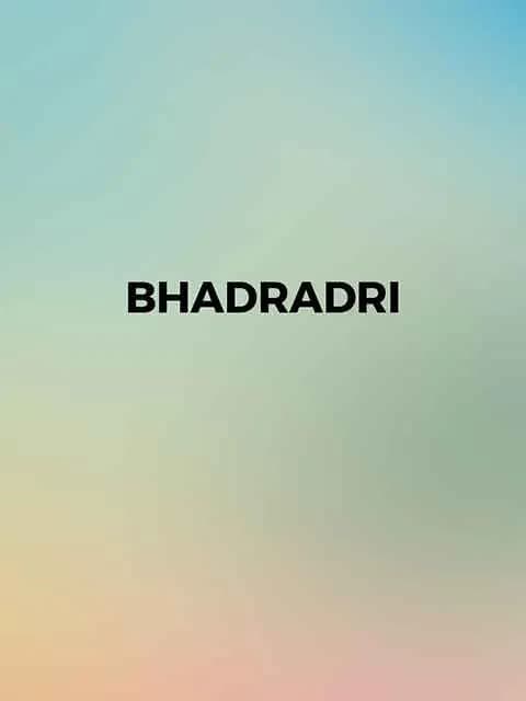 Bhadradri