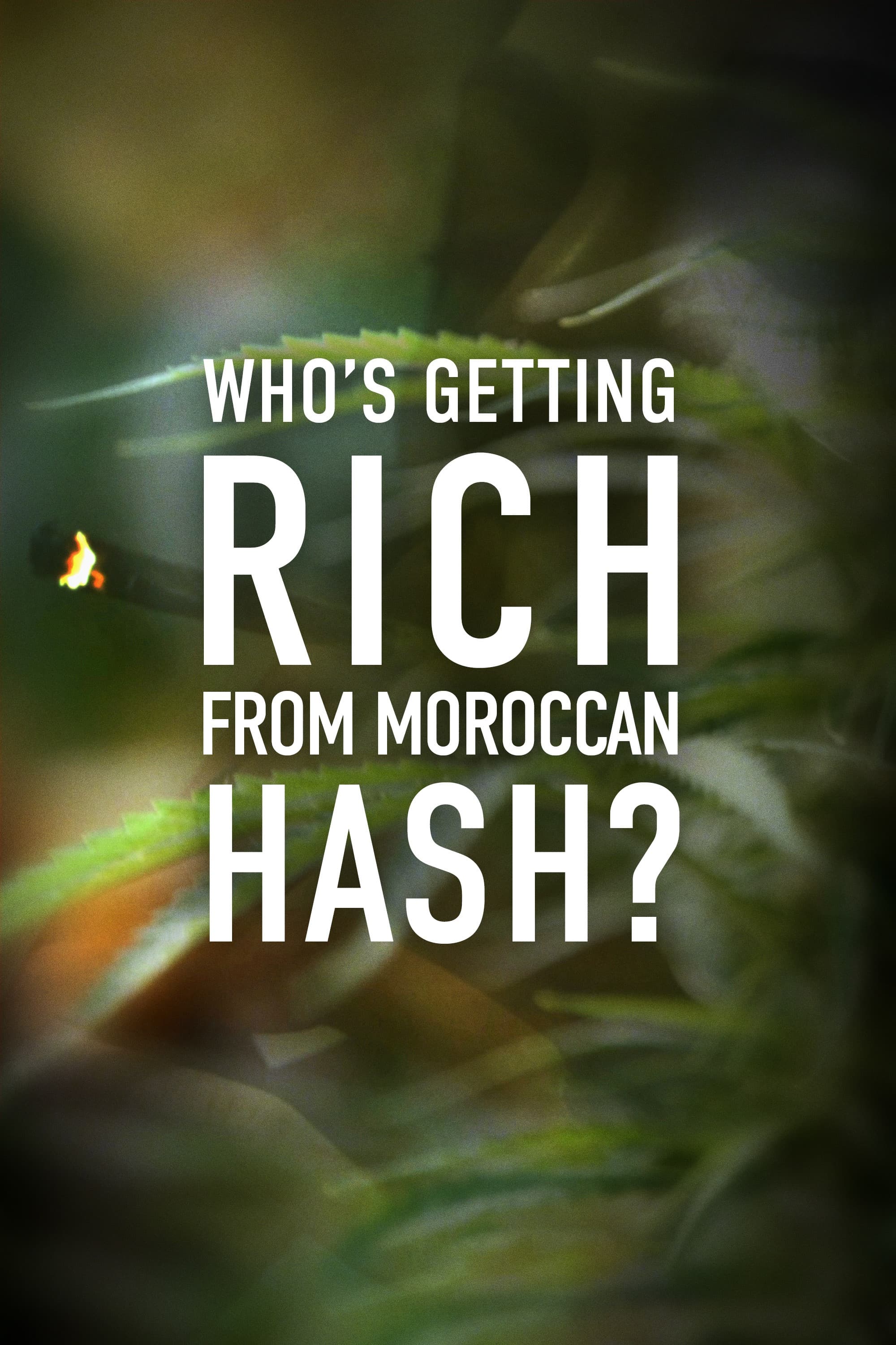 Who's Getting Rich from Moroccan Hash?