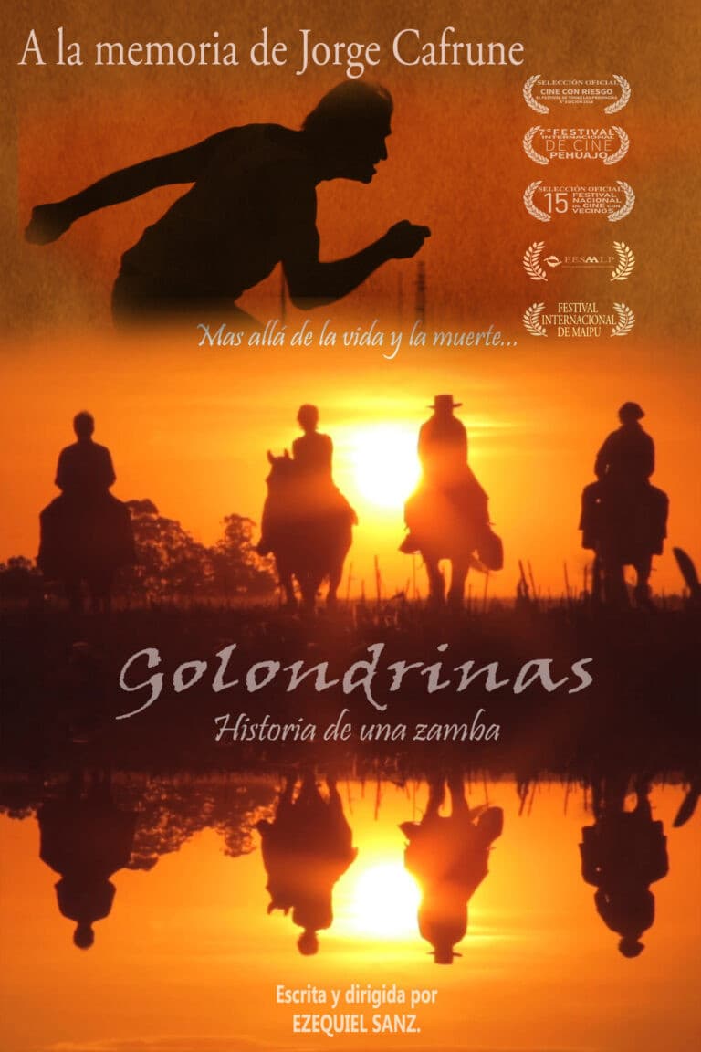 Golondrinas - Historia de una zamba