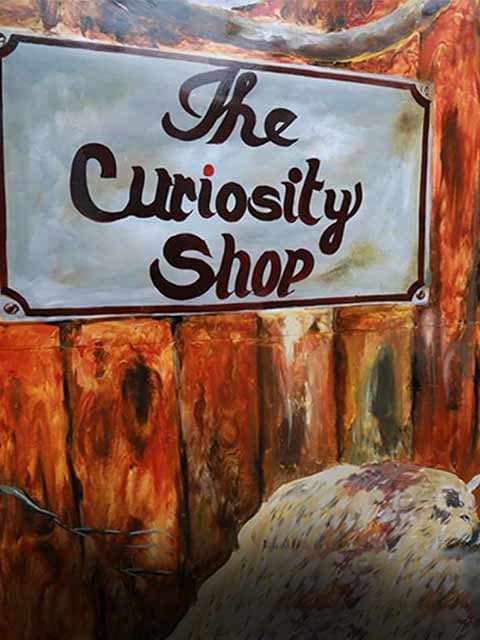 The Curiosity Shop