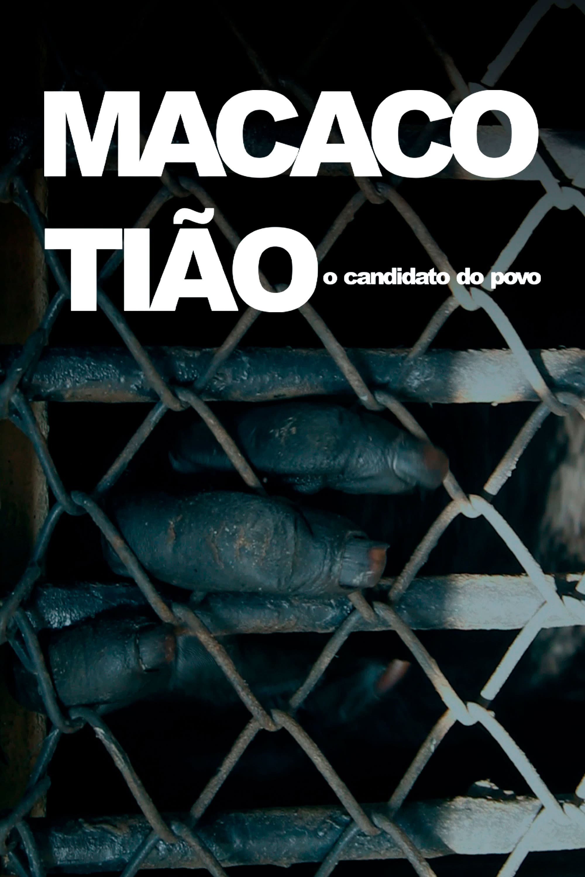 Macaco TiÃ£o: O Candidato do Povo