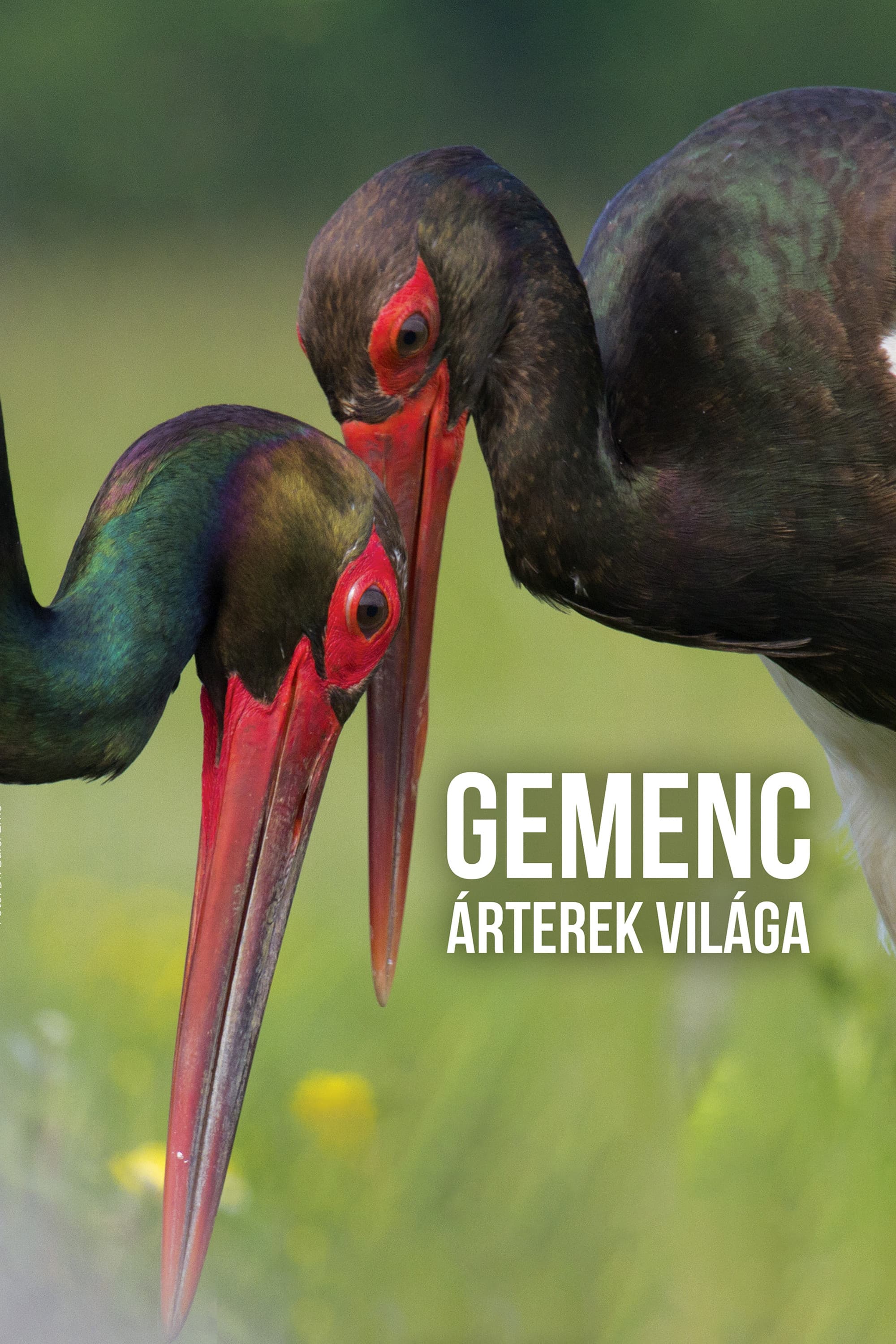 Gemenc - Ãrterek vilÃ¡ga