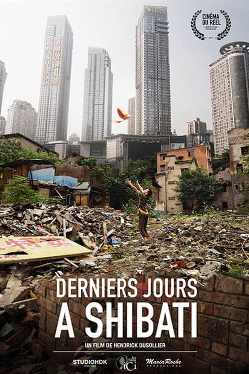 Derniers jours Ã  Shibati