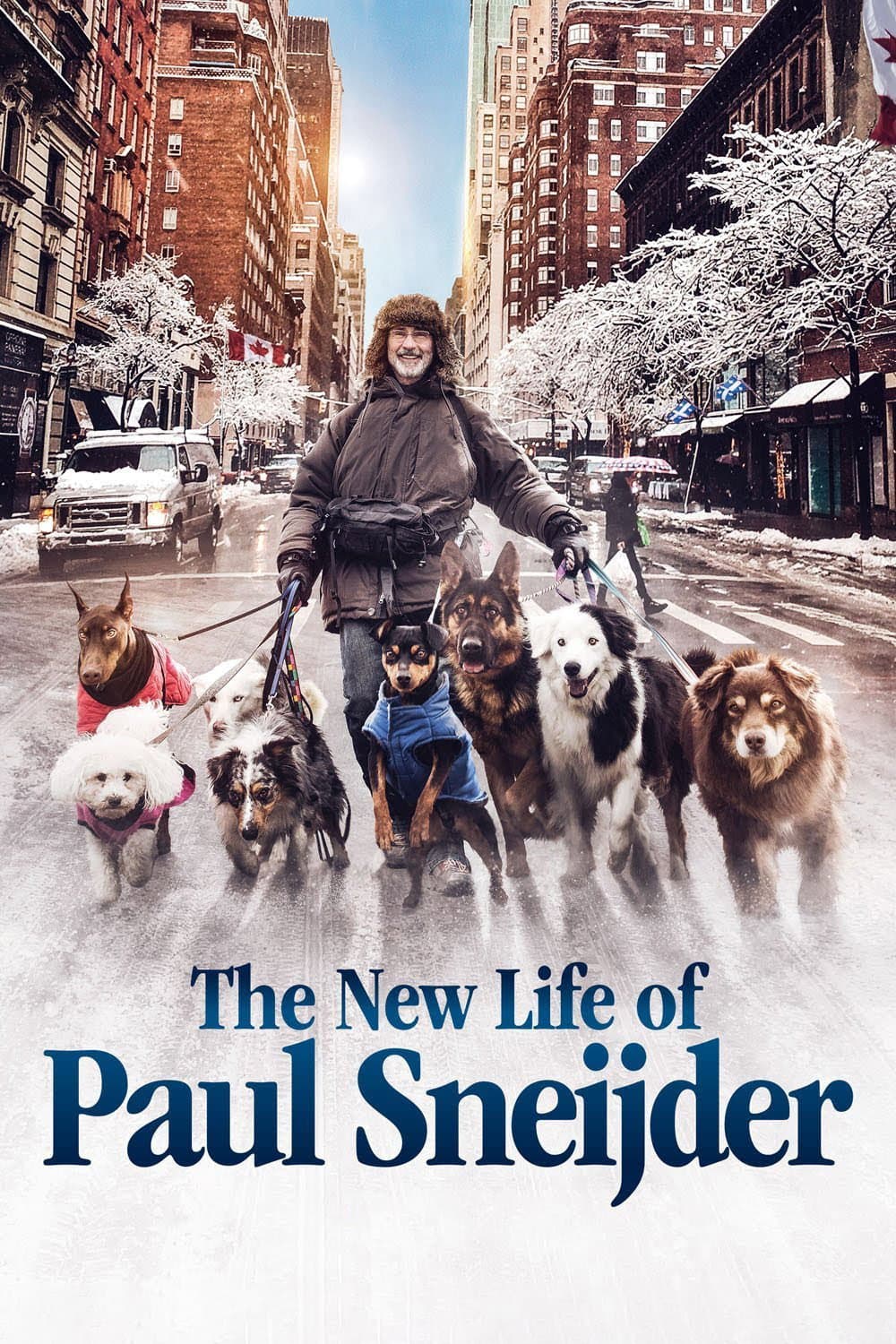 The New Life of Paul Sneijder