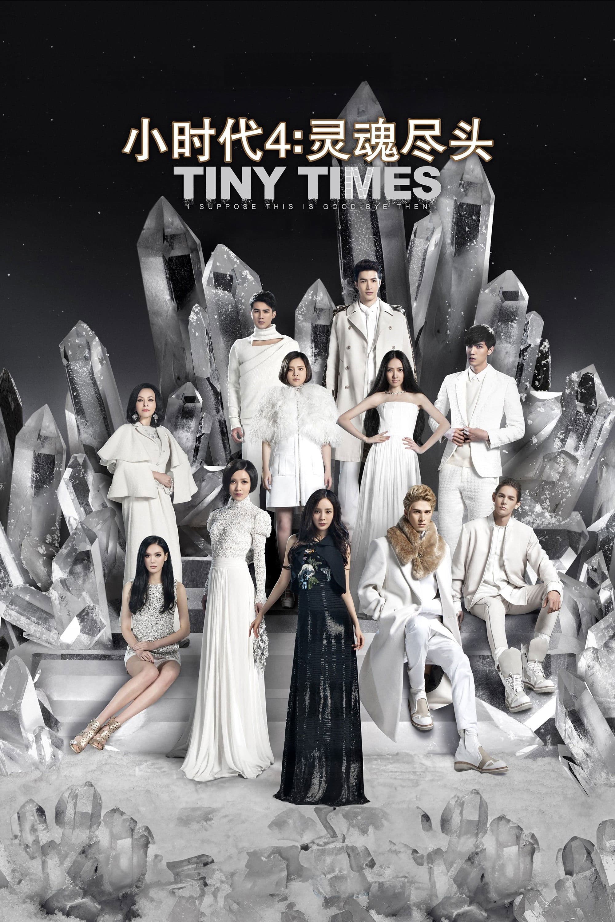 Tiny Times 4.0