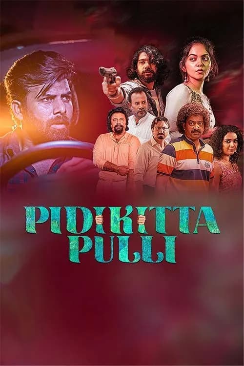 Pidikittapulli
