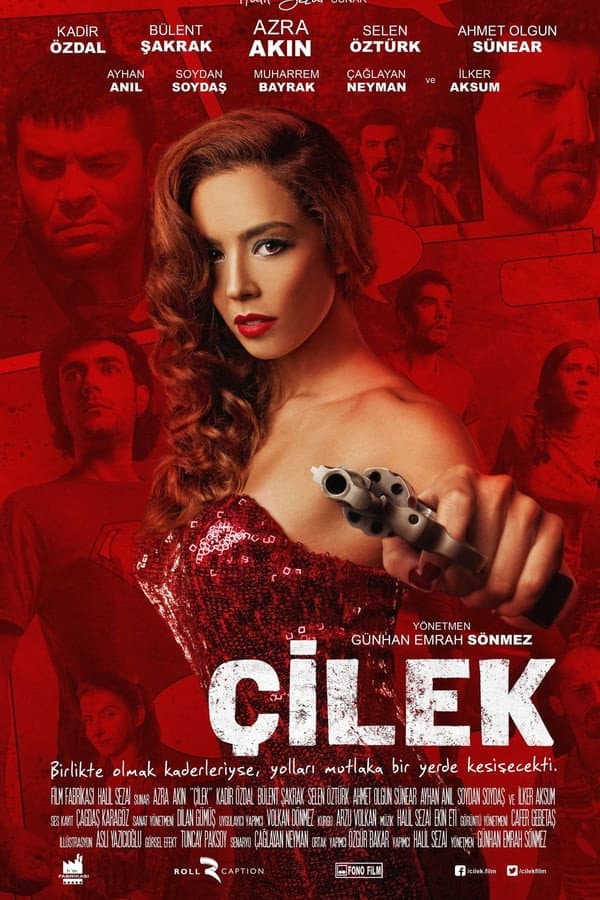 Ã‡ilek