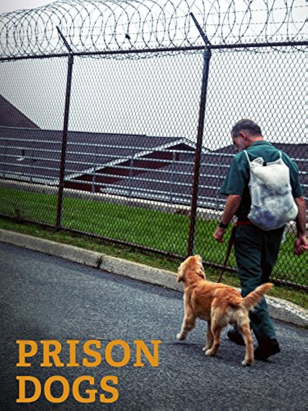 Puppies Behind Bars