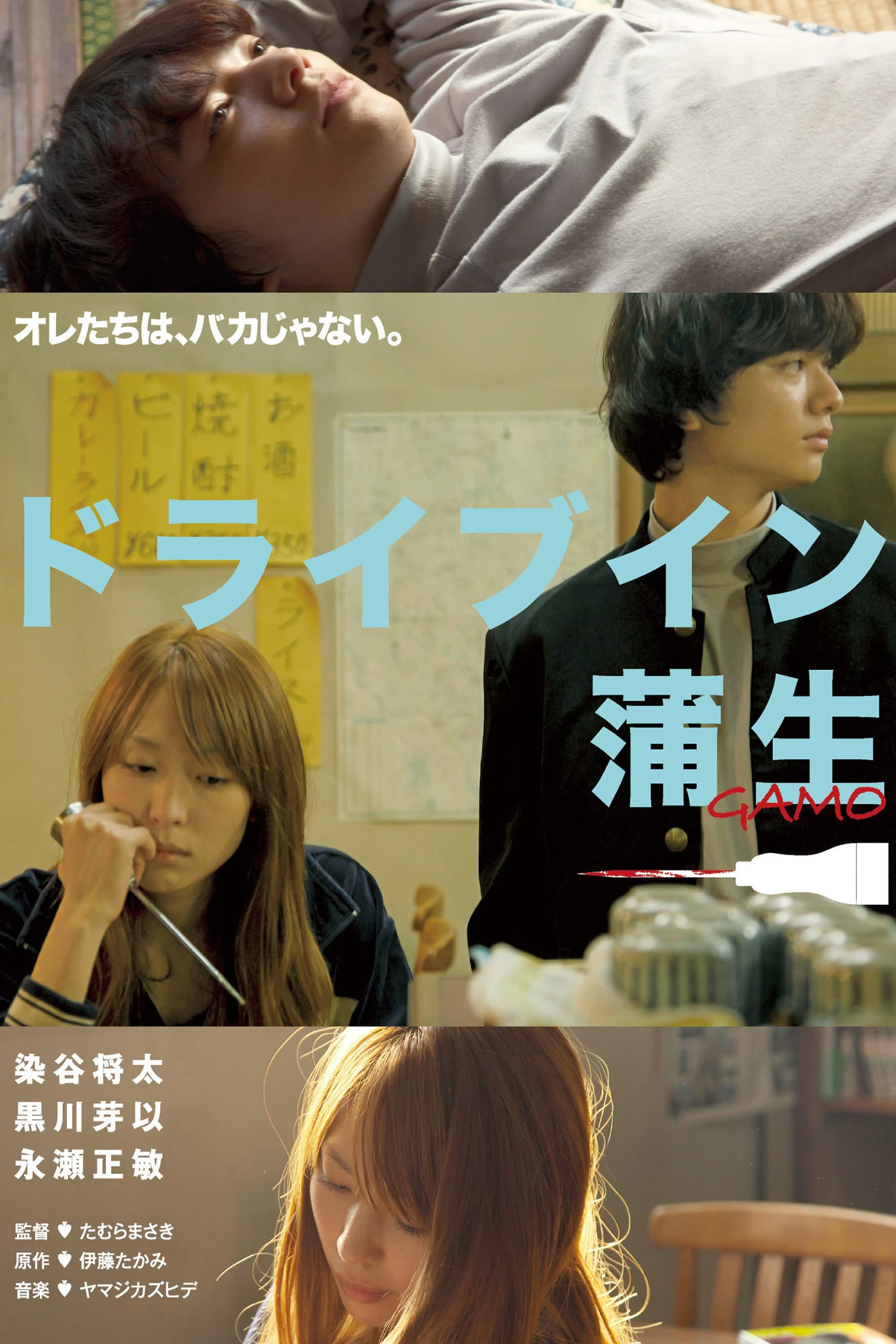 Drive in Gamo