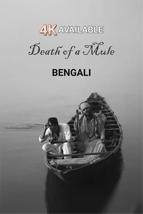 Death of a Mule