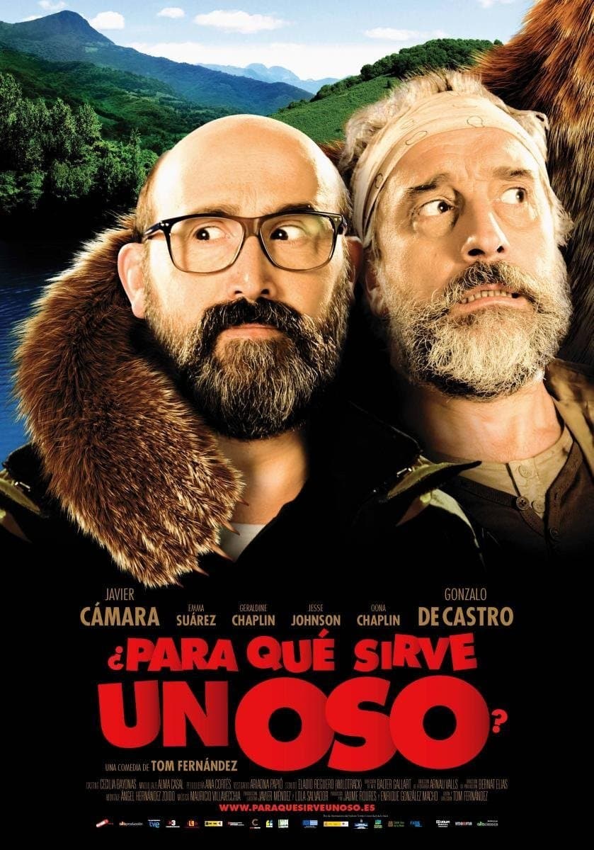 Â¿Para quÃ© sirve un oso?