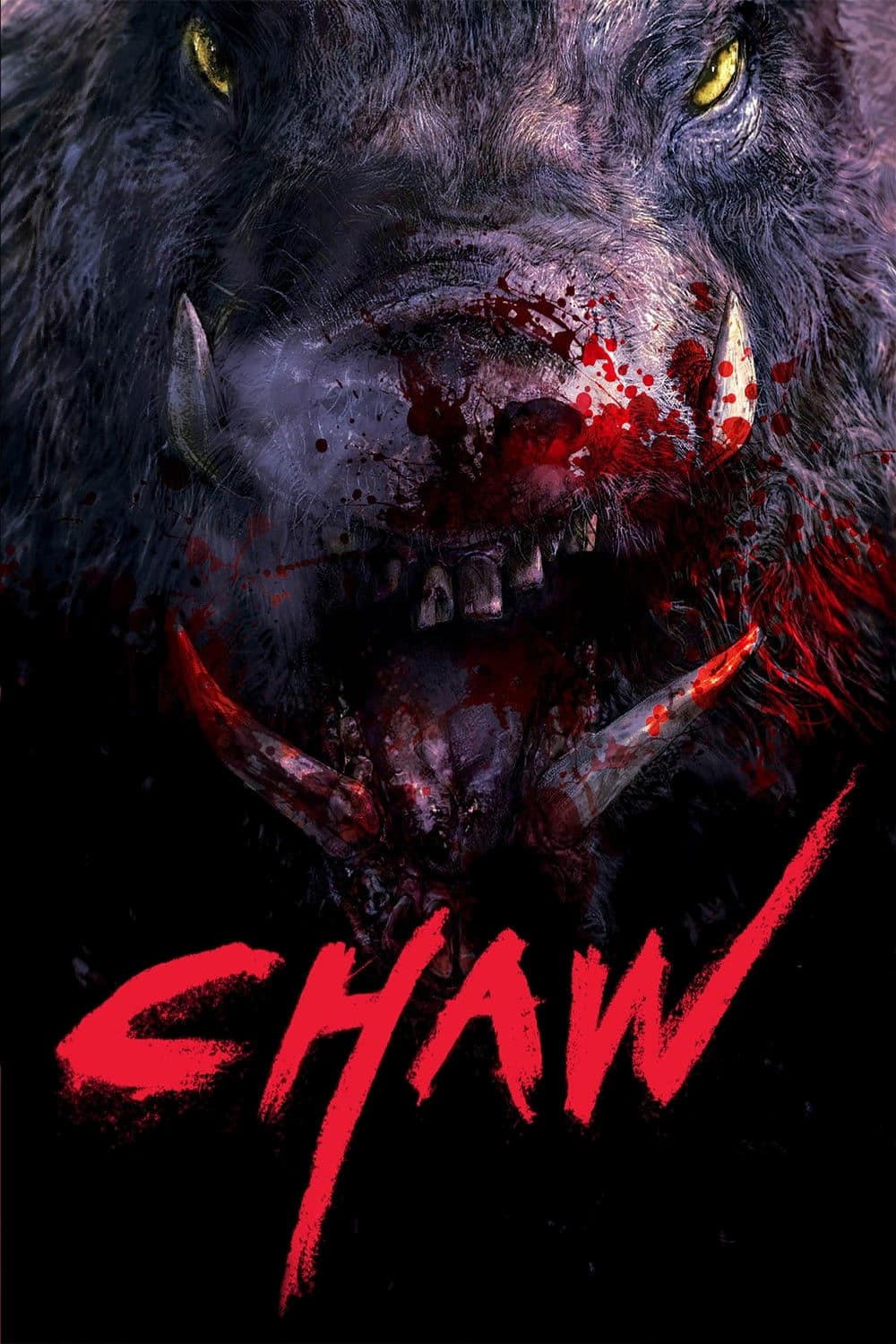 Chawz