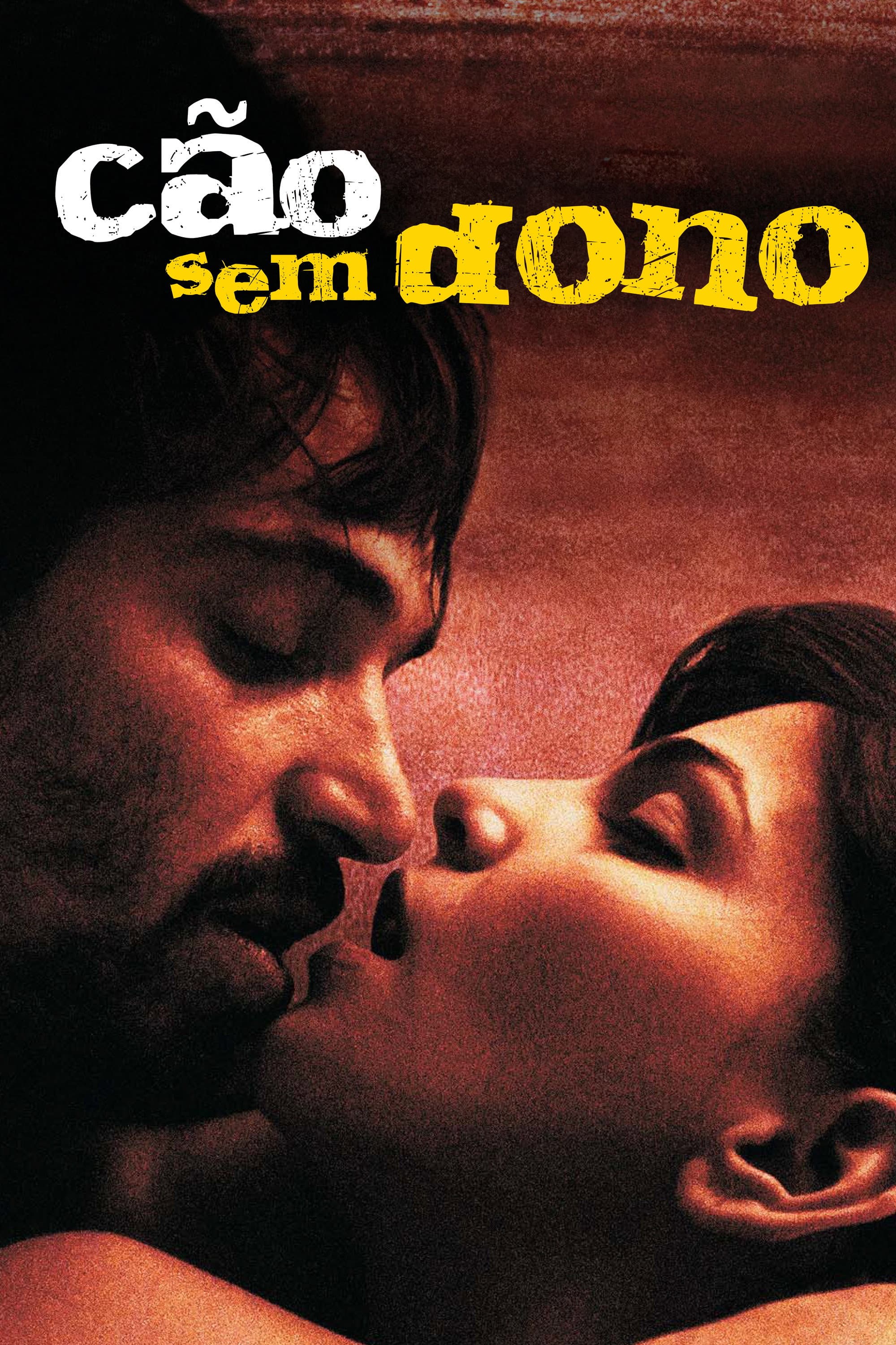 CÃ£o Sem Dono