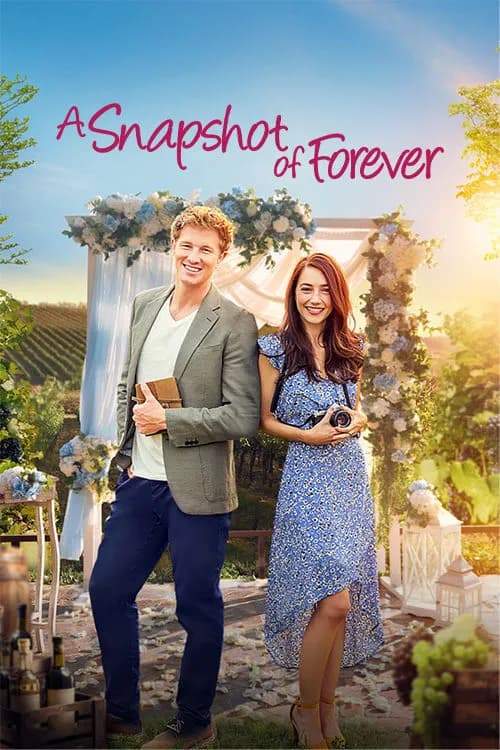 A Snapshot of Forever