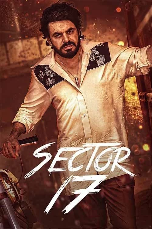 Sector 17
