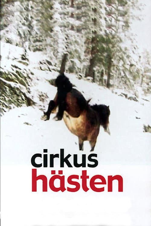 CirkushÃ¤sten