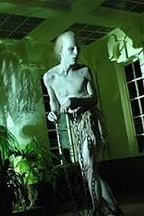 AtaÃºdes de luz