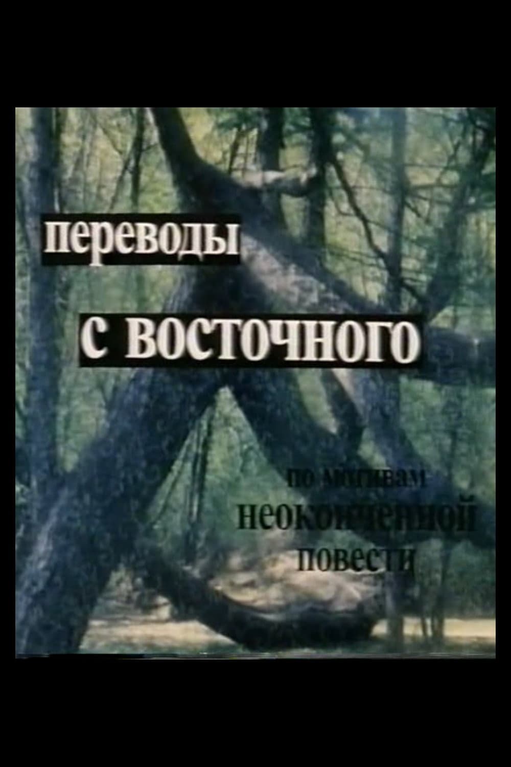 Perevody s vostotchnogo