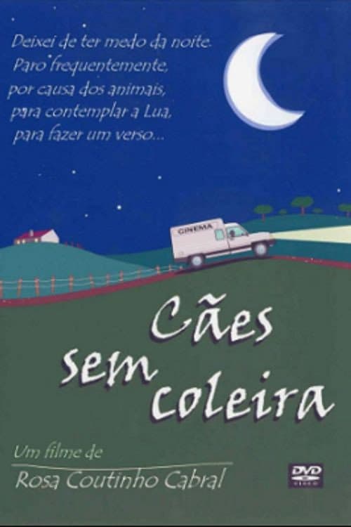 CÃ£es Sem Coleira