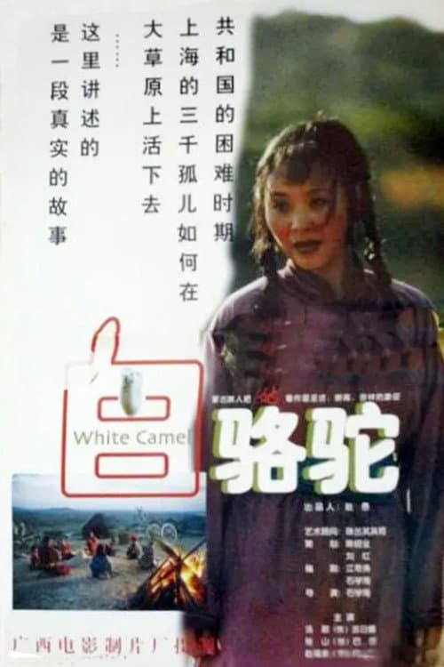 Bai Luo Tuo