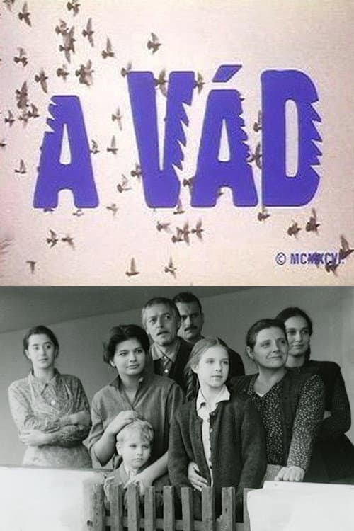 A vÃ¡d