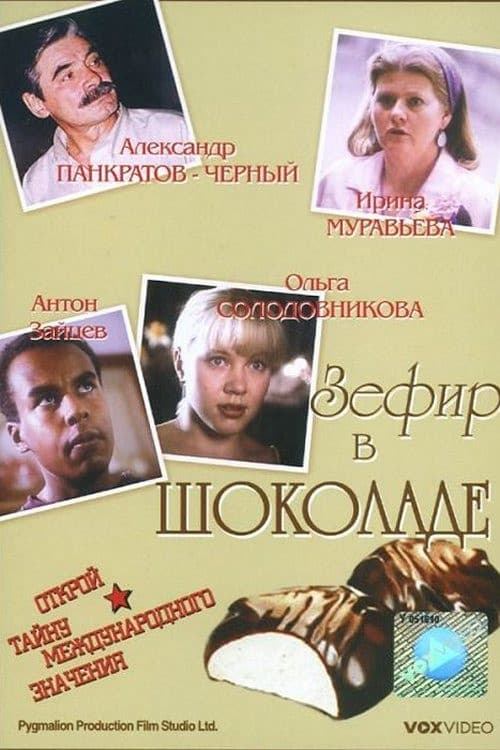 Zefir v shokolade