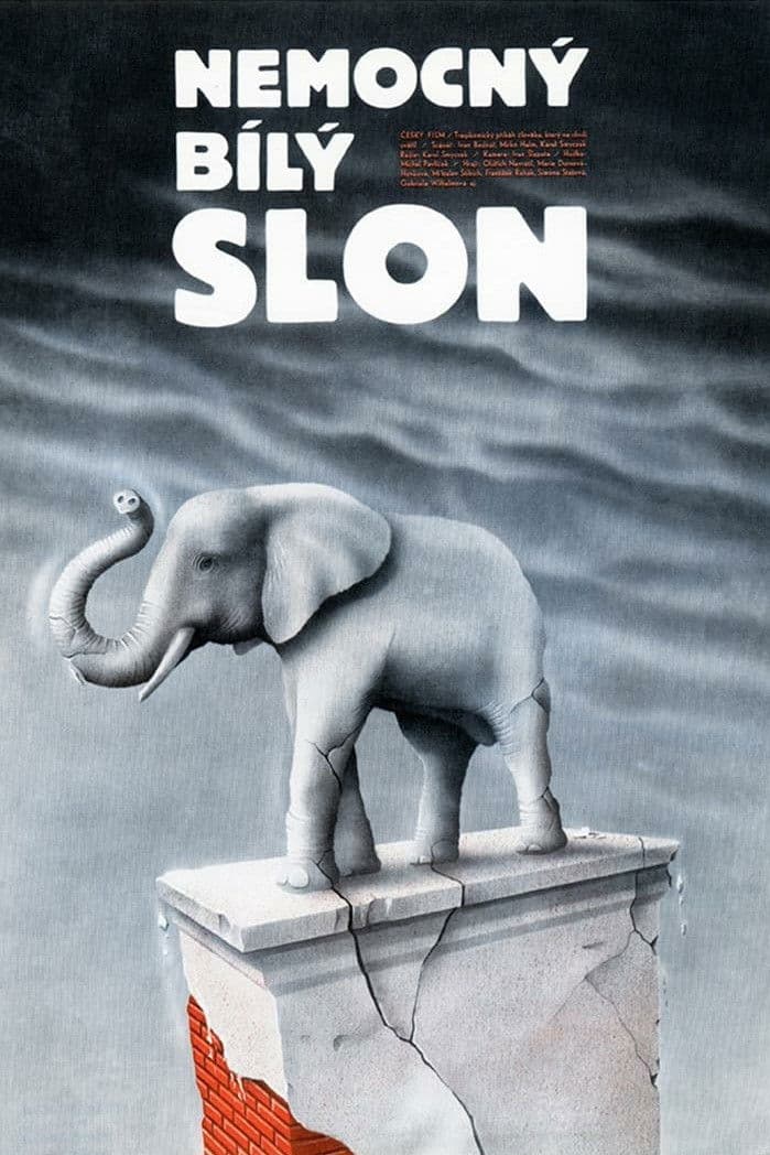 NemocnÃ½ bÃ­lÃ½ slon