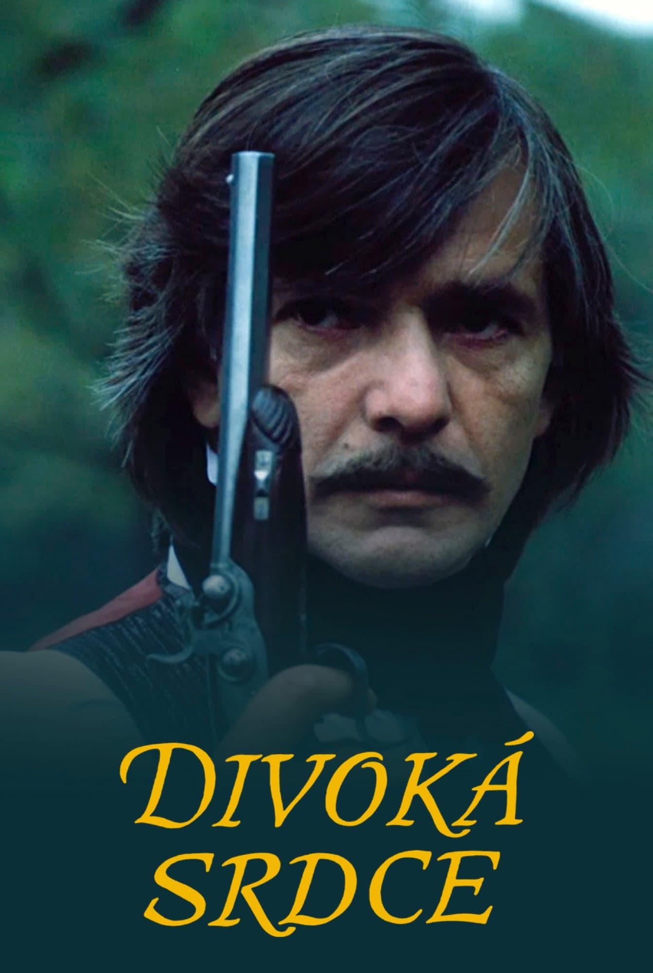 Divoka srdce
