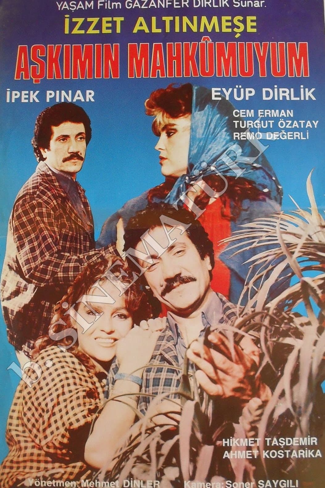 Askimin Mahkumuyum