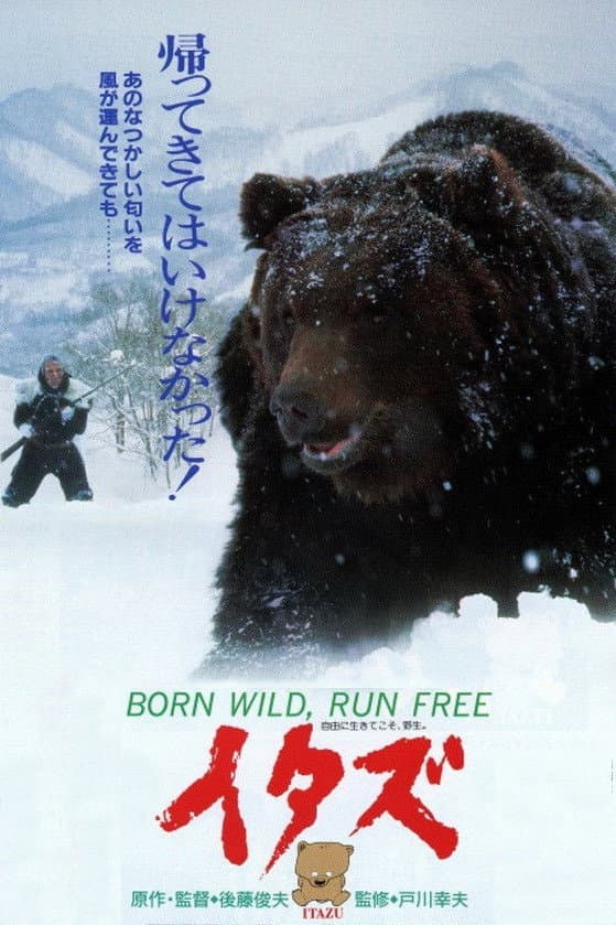 Born Wild, Run Free
