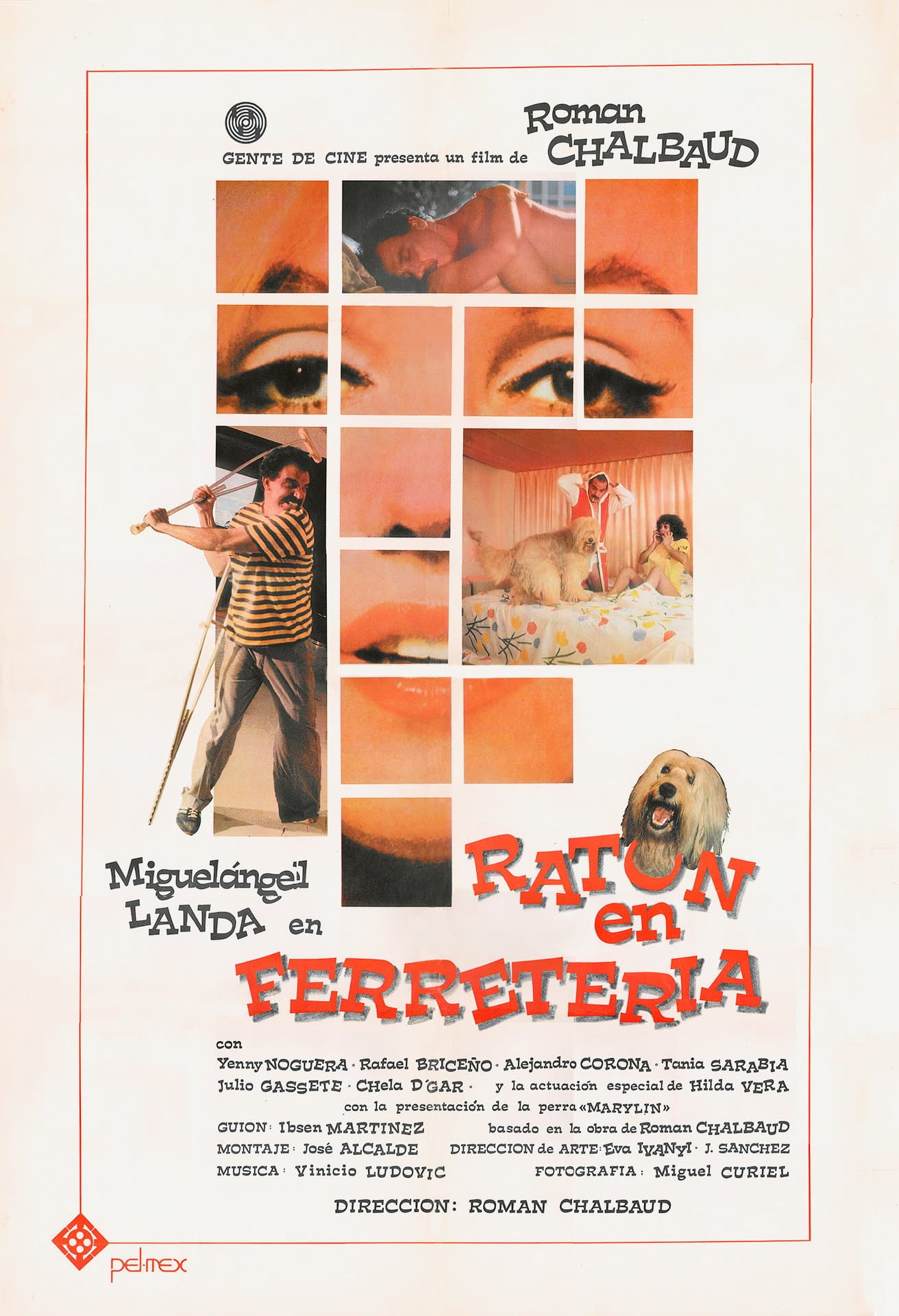 RatÃ³n de ferreterÃ­a
