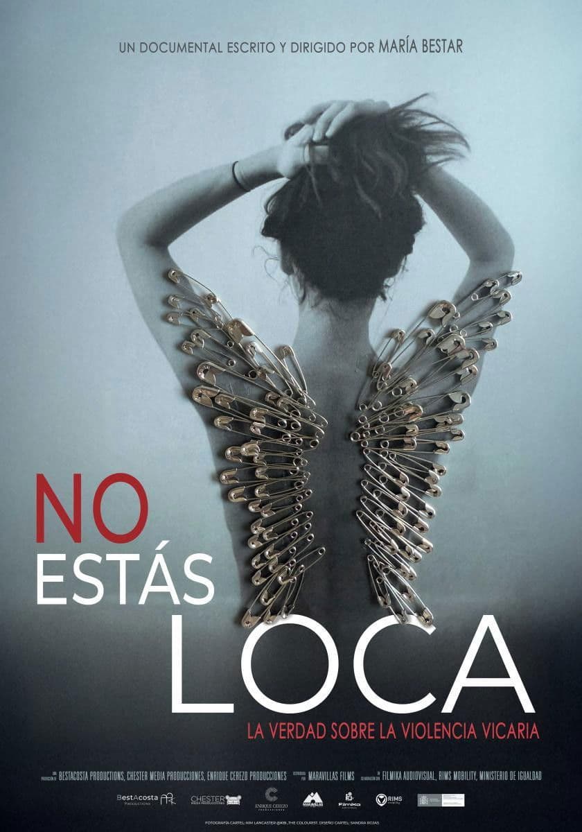 No estÃ¡s loca. La verdad sobre la violencia vicaria