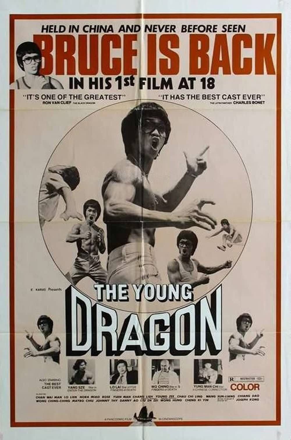 The Young Dragon