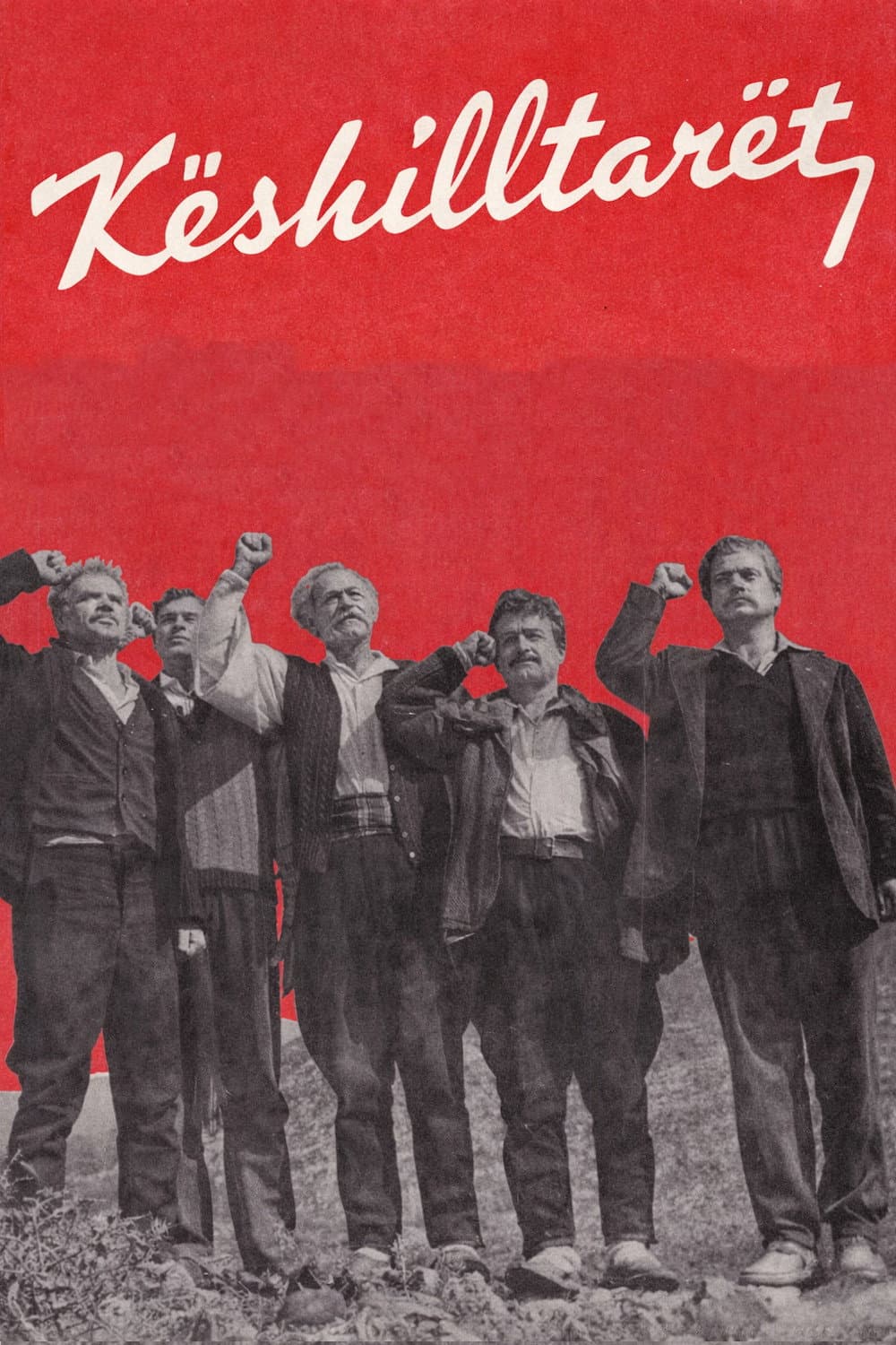 KÃ«shilltarÃ«t