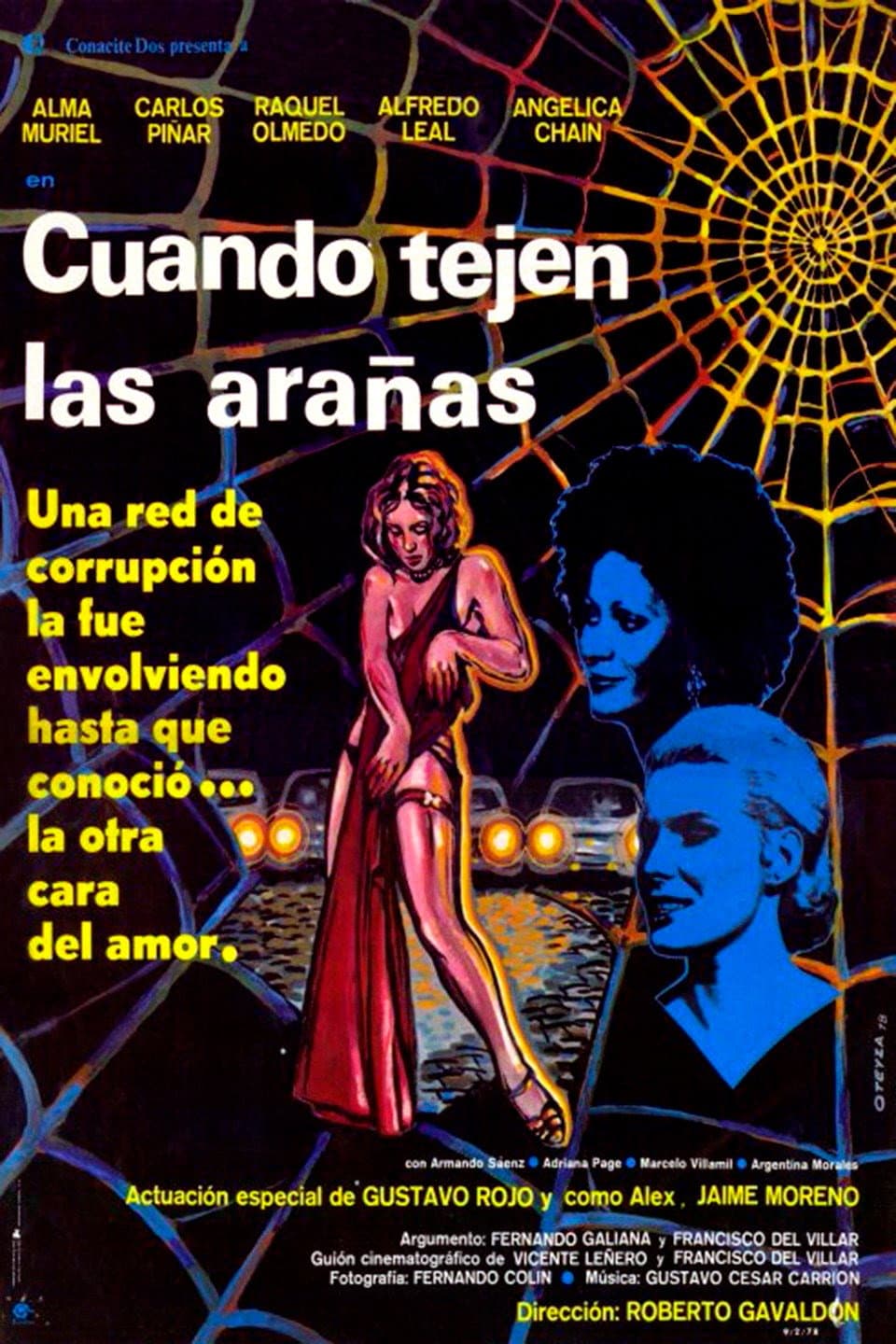 Cuando tejen las araÃ±as
