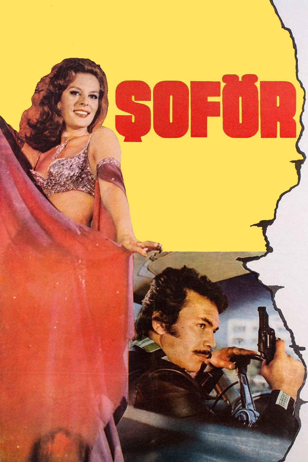 SofÃ¶r