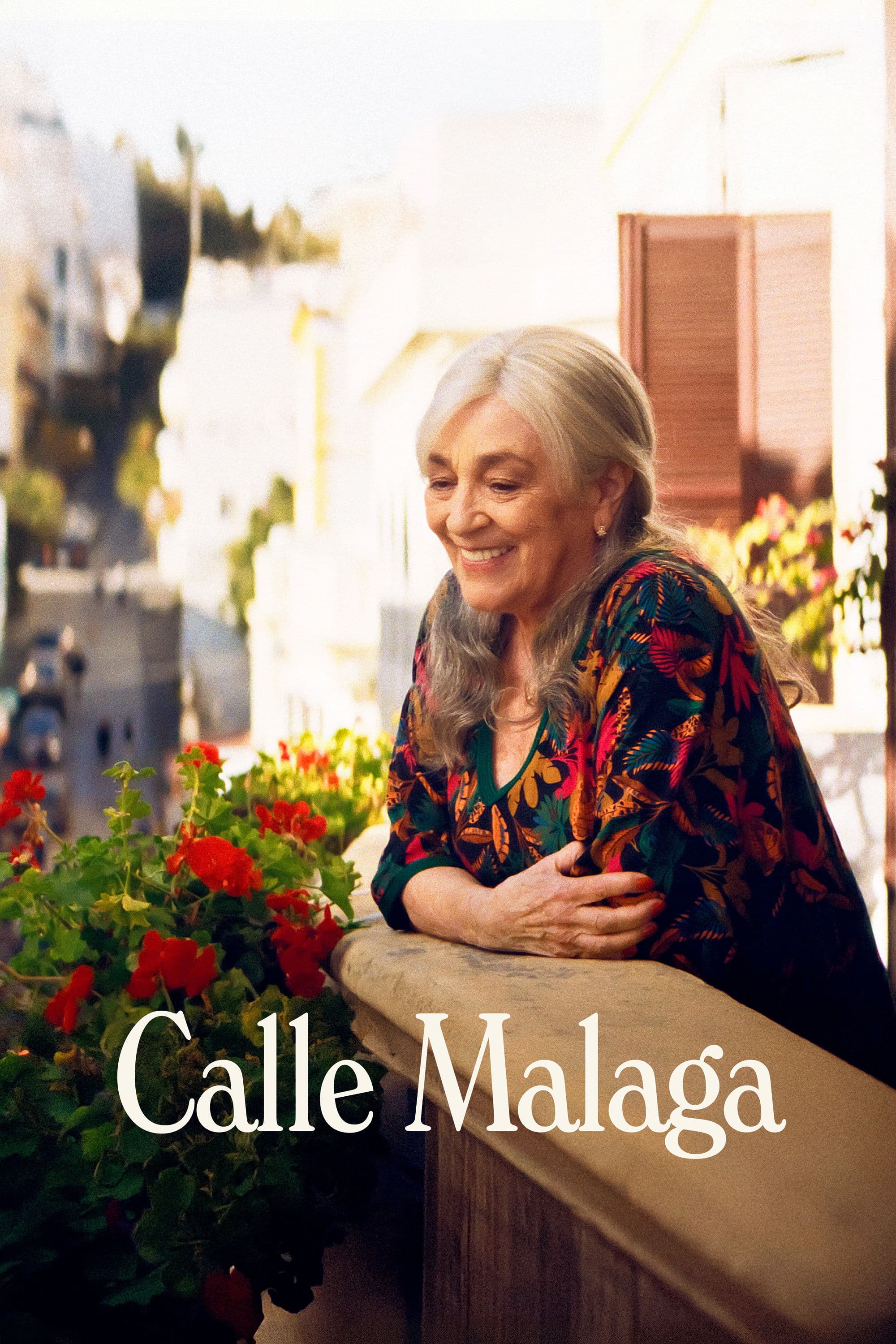 Calle MÃ¡laga