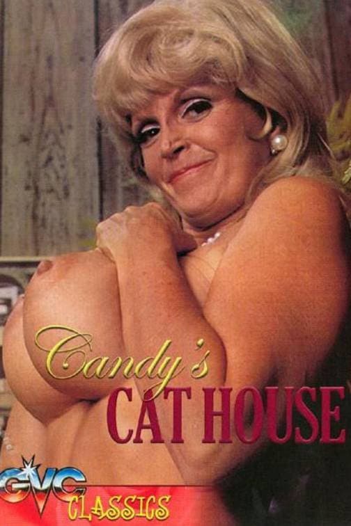 The Candy Store