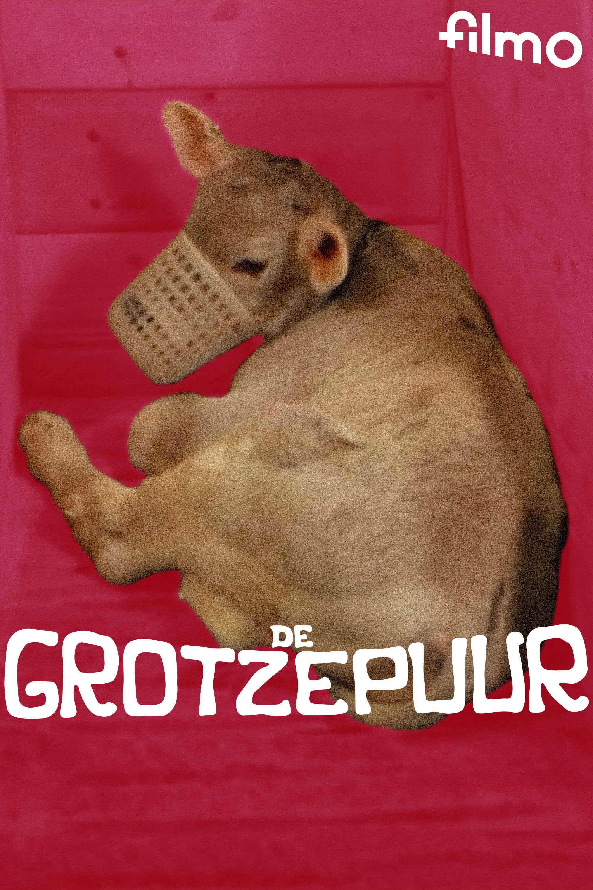 The Grotze Farmer