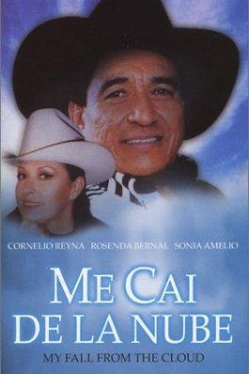Me caÃ­ de la nube