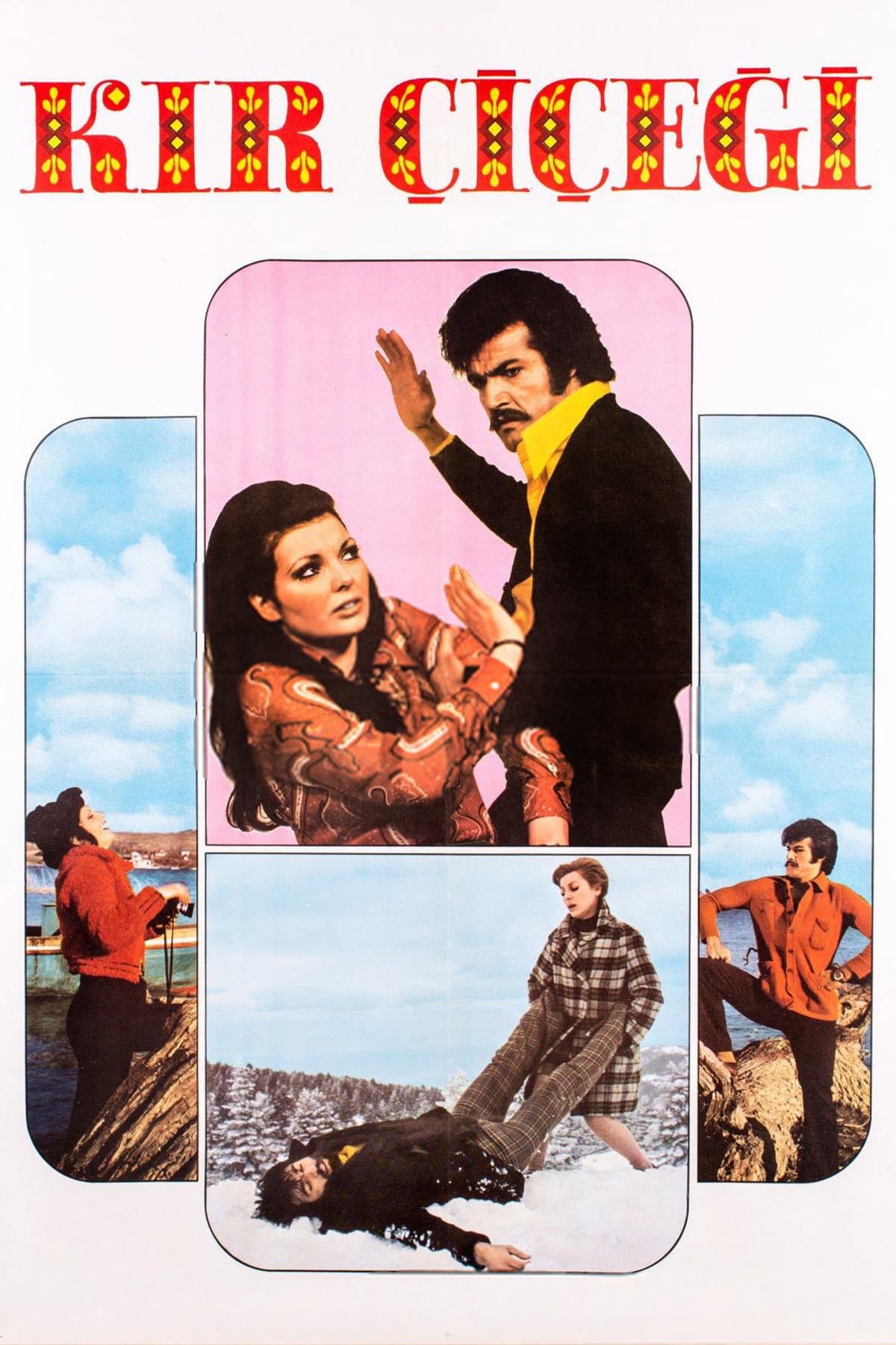 Kir Ã‡iÃ§egi