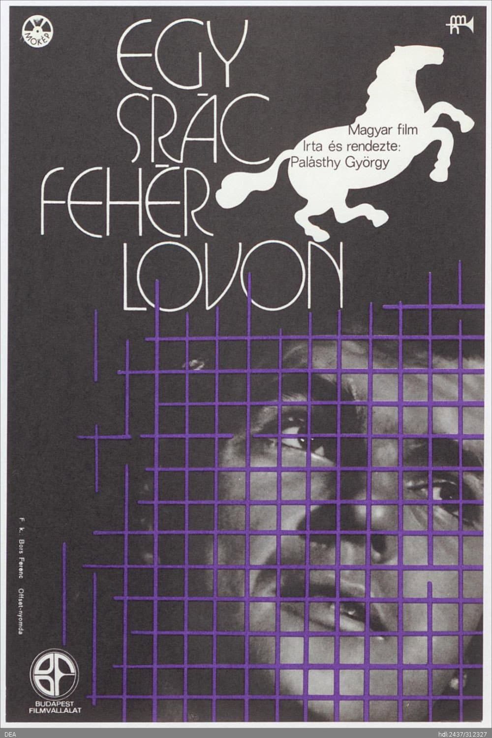 Egy srÃ¡c fehÃ©r lovon