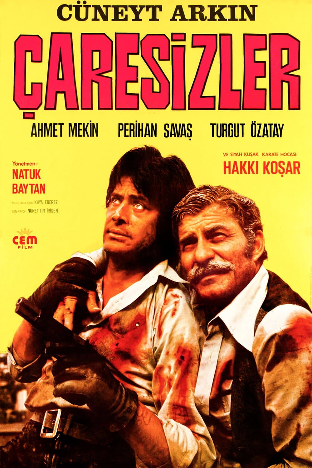 Ã‡aresizler
