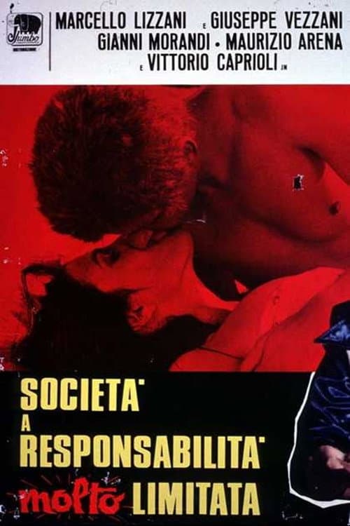 SocietÃ  a responsabilitÃ  molto limitata