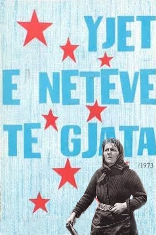 Yjet e netÃ«ve tÃ« gjata